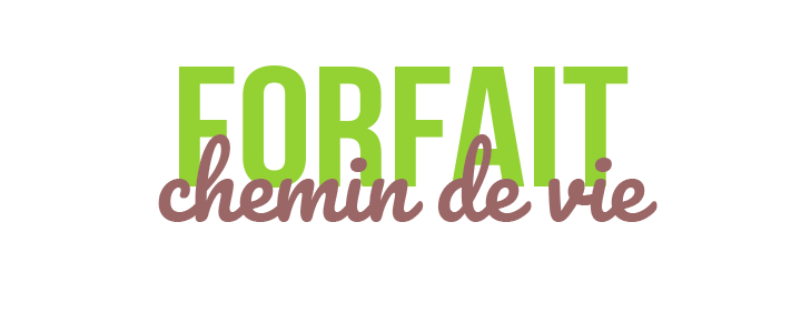 chemin de vie, mission de vie, travailler ses valeurs avec un coach à Dole